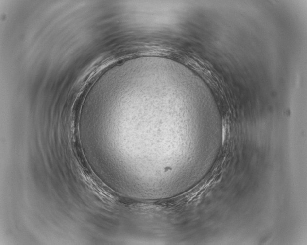 X0000087030339200705071540