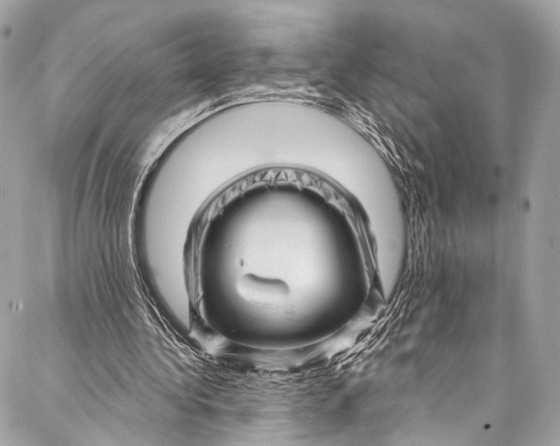 X0000087030340200705071540