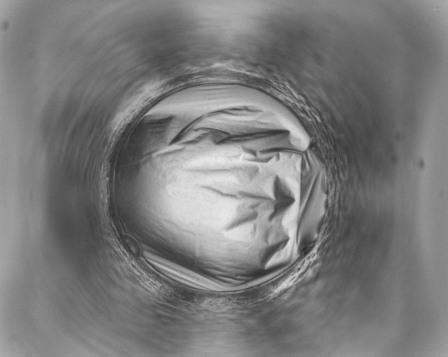 X0000087030341200705071540