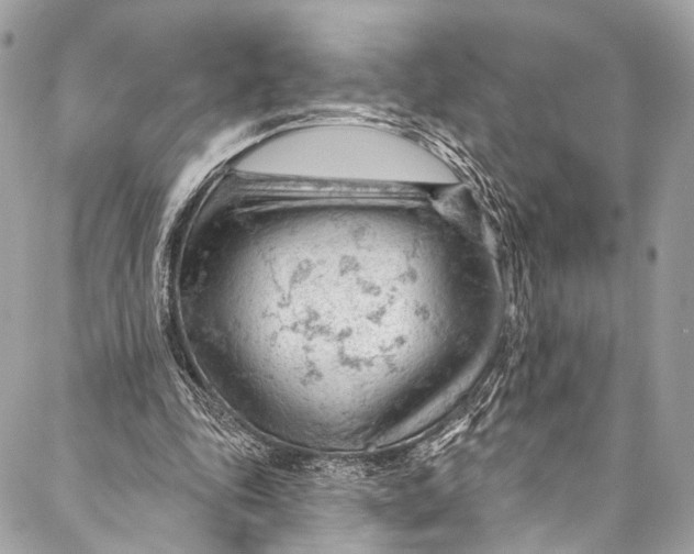 X0000087030343200705071540