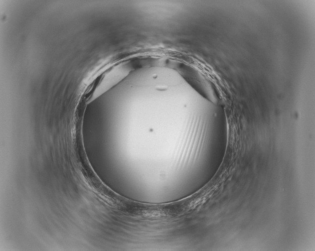 X0000087030344200705071540