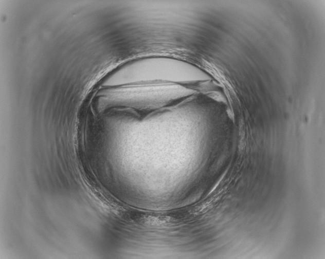 X0000087030346200705071540