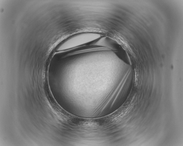 X0000087030348200705071540