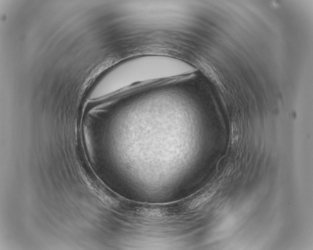 X0000087030349200705071540