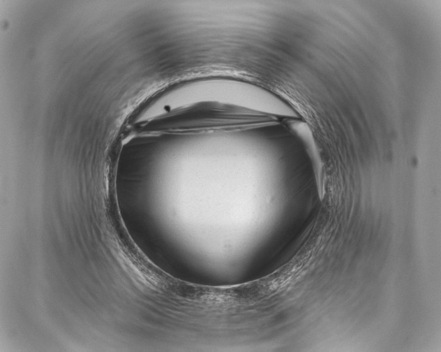 X0000087030350200705071540