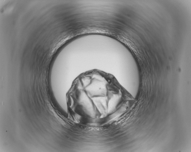 X0000087030352200705071540