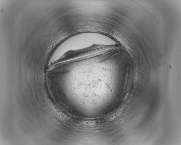 X0000087030353200705071540