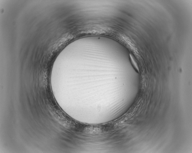 X0000087030354200705071540