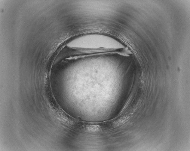 X0000087030355200705071540