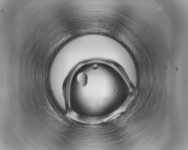 X0000087030356200705071540