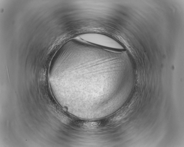 X0000087030357200705071540