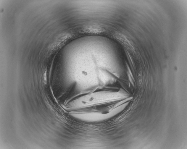 X0000087030358200705071540