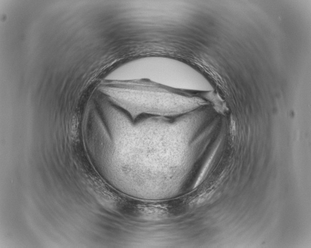 X0000087030359200705071540