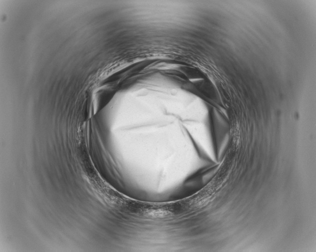 X0000087030360200705071540