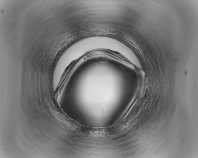 X0000087030362200705071540