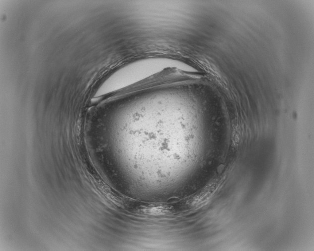 X0000087030365200705071540