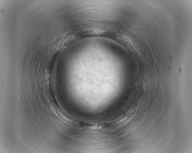 X0000087030366200705071540