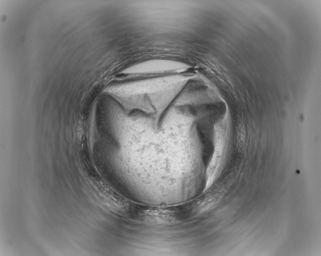 X0000087030367200705071540