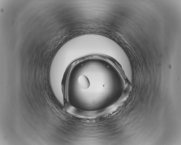 X0000087030368200705071540