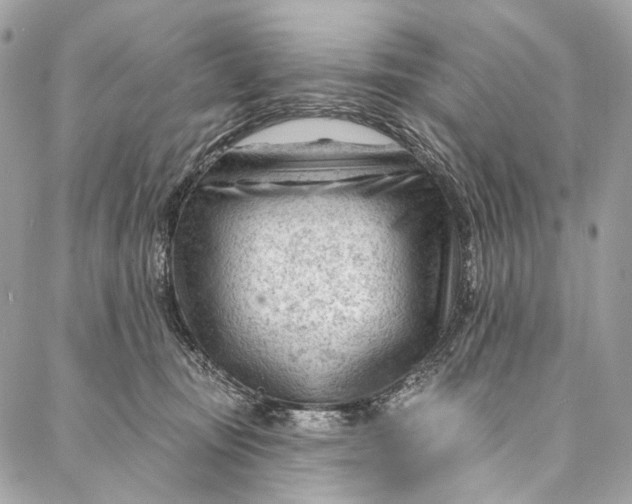 X0000087030371200705071540