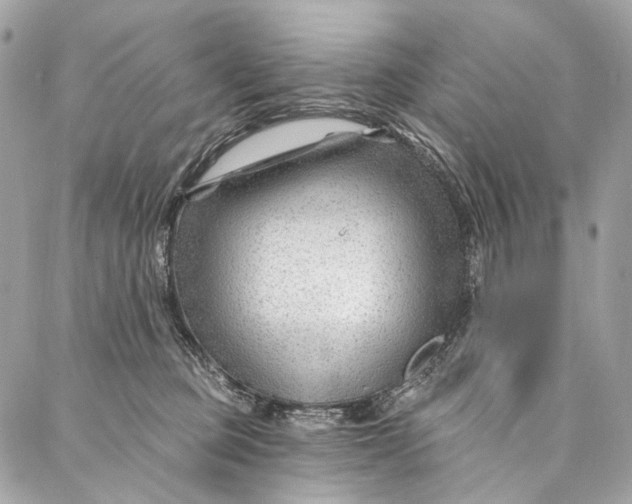 X0000087030373200705071540