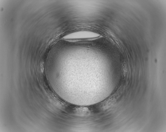 X0000087030374200705071540