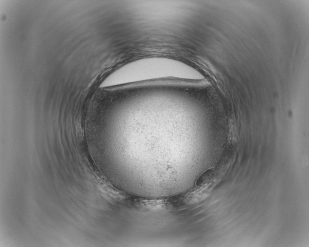 X0000087030377200705071540