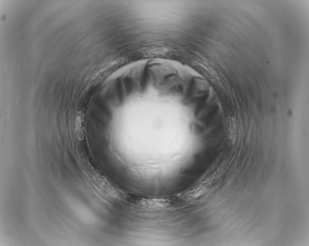 X0000087030378200705071540