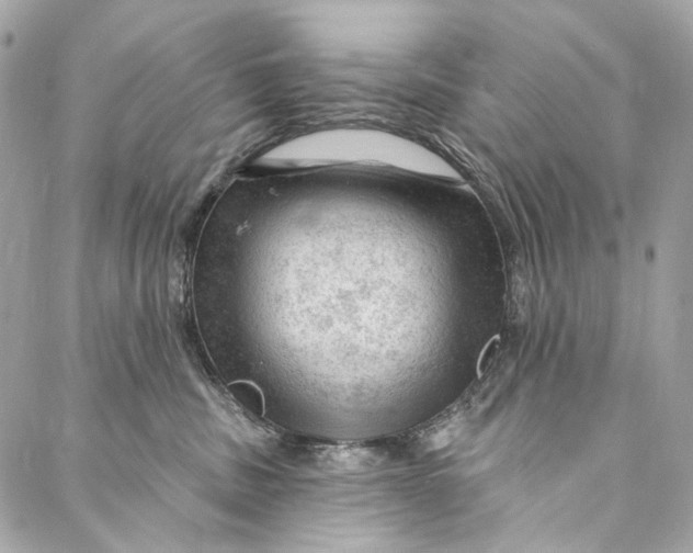 X0000087030379200705071540