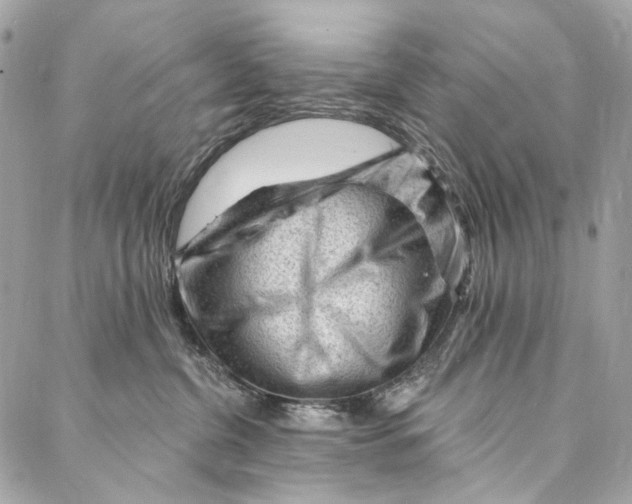 X0000087030380200705071540