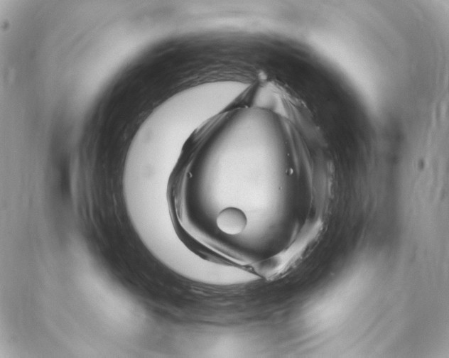 X0000087030382200705071540