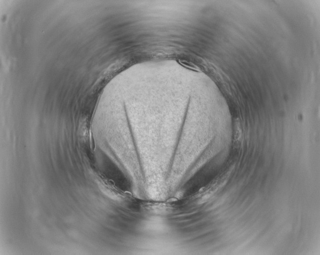 X0000087030383200705071540