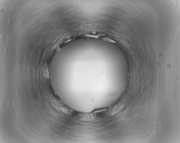 X0000087030384200705071540