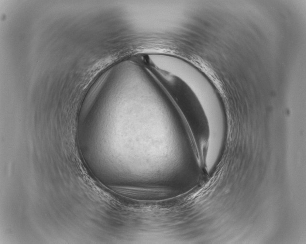 X0000087030385200705071540