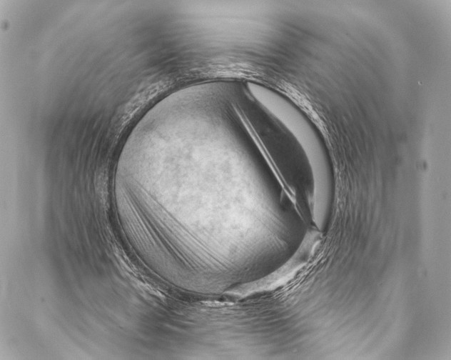 X0000087030386200705071540