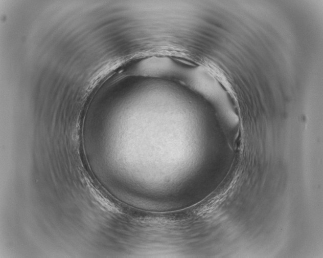 X0000087030389200705071540