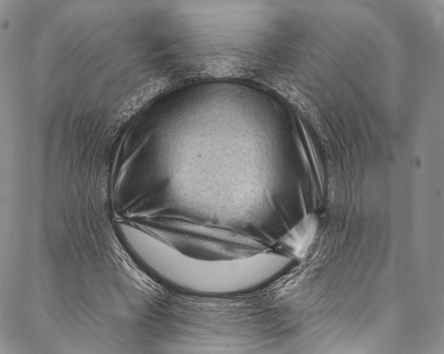 X0000087030393200705071540