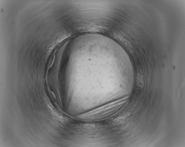 X0000087030394200705071540