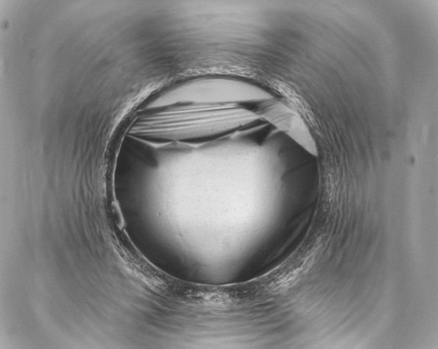 X0000087030395200705071540