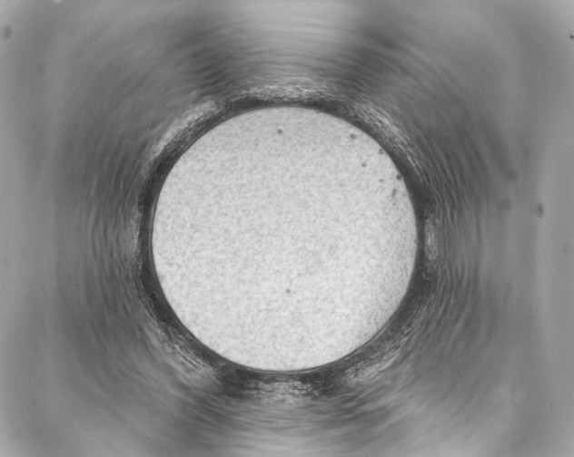 X0000087030396200705071540