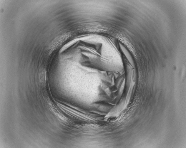 X0000087030397200705071539