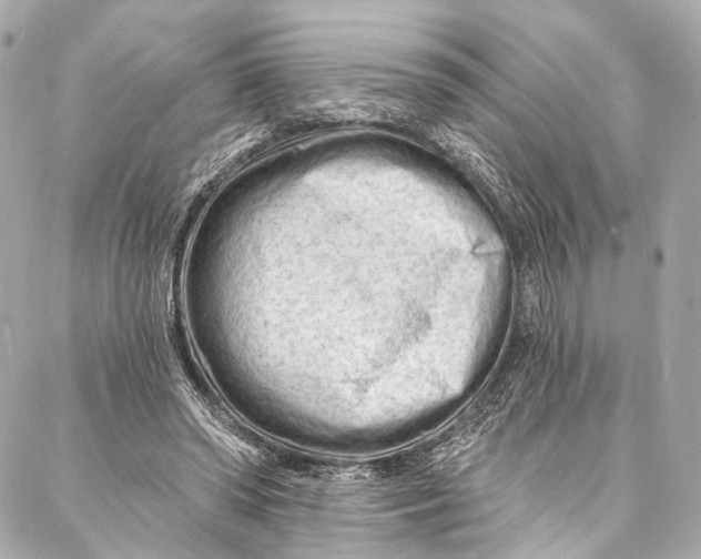 X0000087030398200705071539