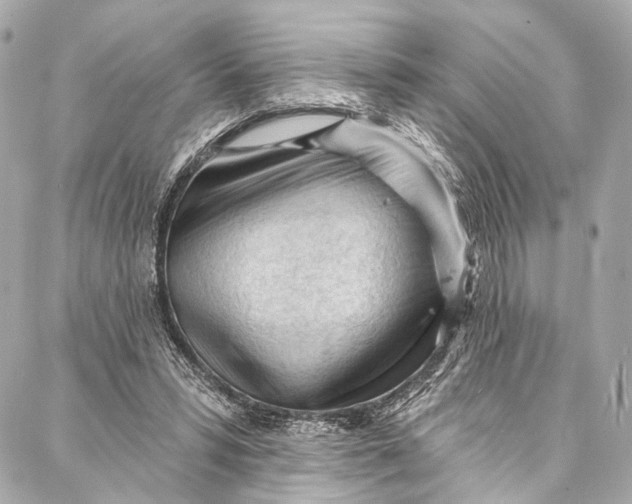 X0000087030399200705071539