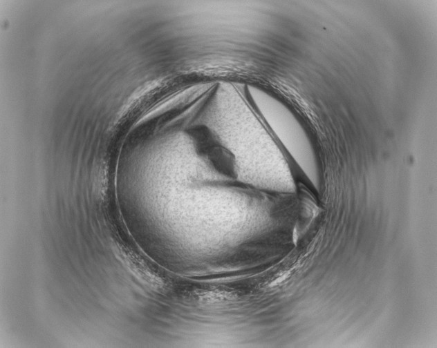 X0000087030400200705071539