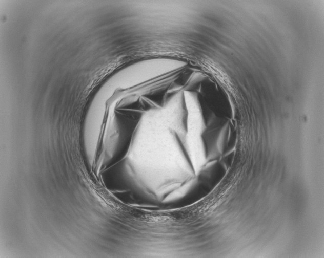 X0000087030401200705071539