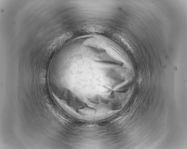 X0000087030402200705071539