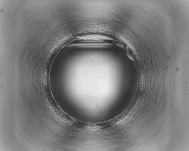 X0000087030403200705071539