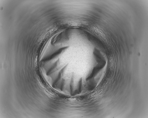 X0000087030406200705071539