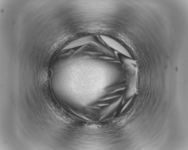 X0000087030407200705071539