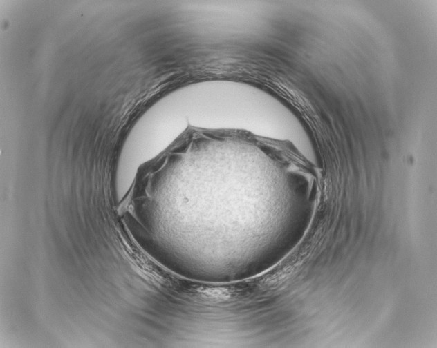 X0000087030409200705071539